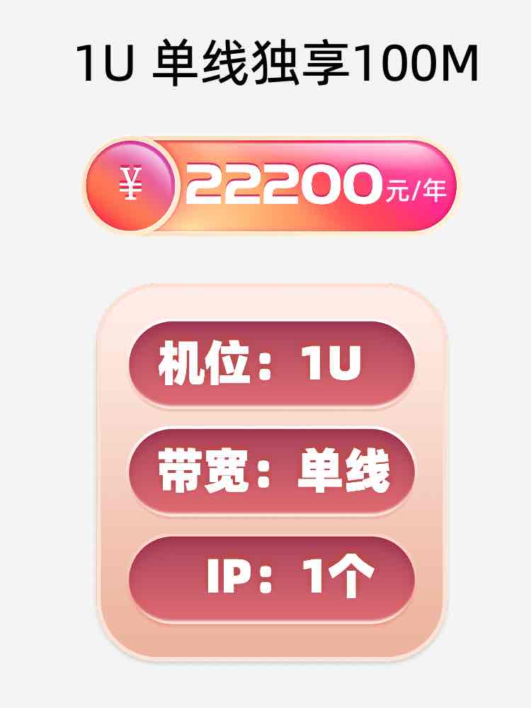 济南单线100M服务器托管价格